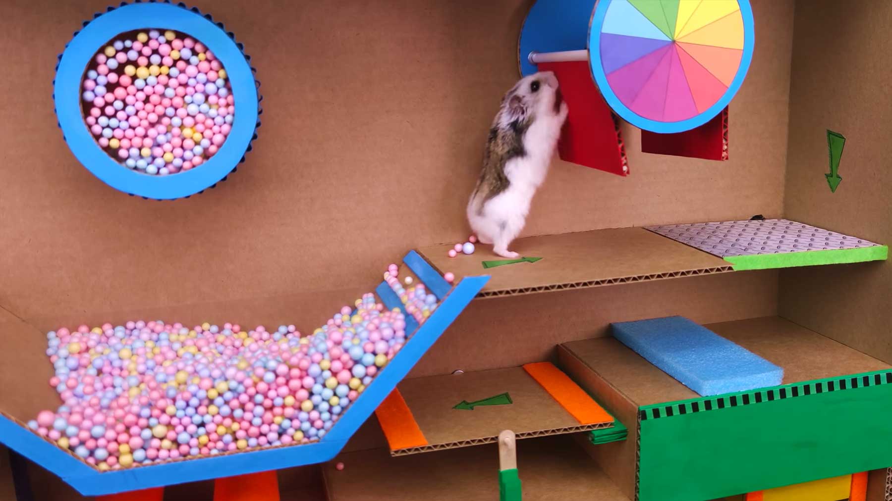 Bunter Hamster-Hindernislauf Hamster-Escapes-the-Pool-Maze 