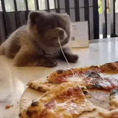 GIFparade XXXV Gifparade-035_10 