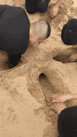 GIFparade XXXV Gifparade-035_27 