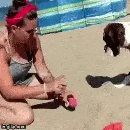 GIFparade XXXVIII Gifparade-038_18 