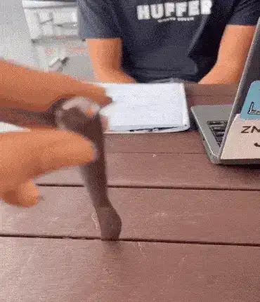 GIFparade XXXVIII Gifparade-038_30 