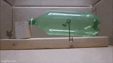 GIFparade XXXVIII Gifparade-038_34 