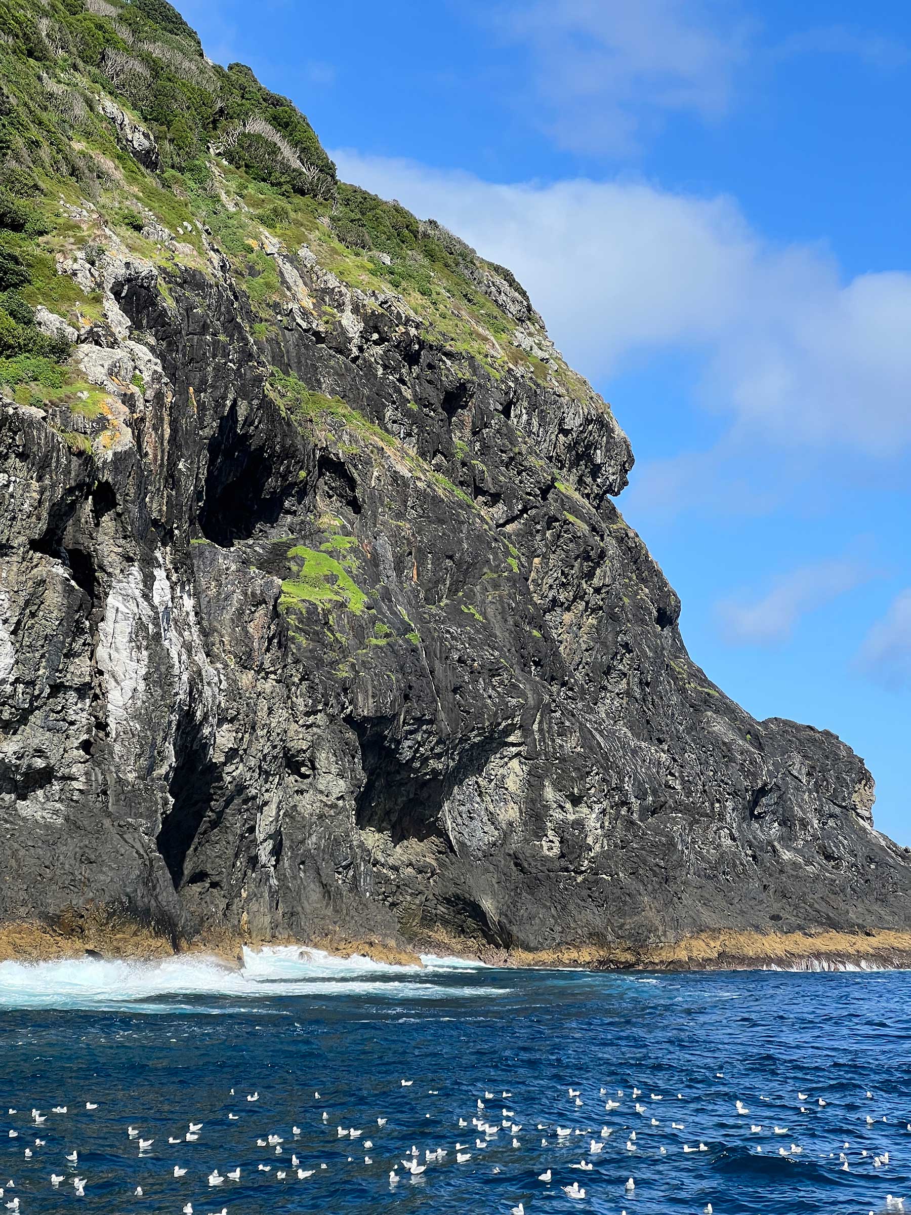 Reisebericht: Neuseeland 2023 - 3 Wochen Nordinsel Neuseeland-Reisebericht-2023_07 