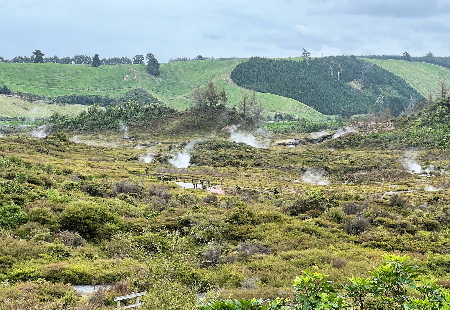 Reisebericht: Neuseeland 2023 - 3 Wochen Nordinsel Neuseeland-Reisebericht-2023_19 