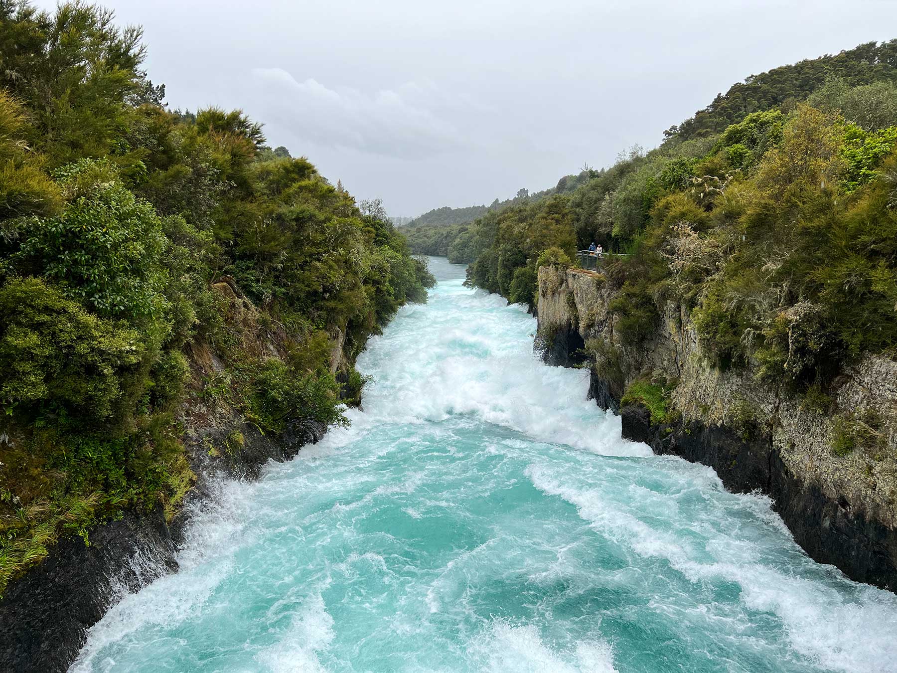 Reisebericht: Neuseeland 2023 - 3 Wochen Nordinsel Neuseeland-Reisebericht-2023_20 