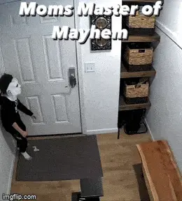 GIFparade XXXIX Gifparade-039_20 