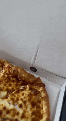 GIFparade XXXIX Gifparade-039_21 