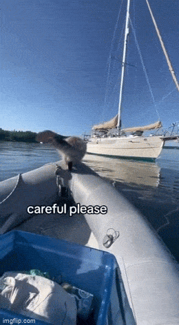 GIFparade XXXIX Gifparade-039_23 