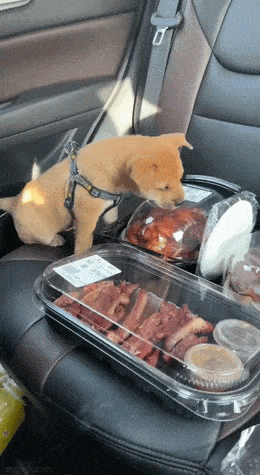 GIFparade XXXIX Gifparade-039_26 