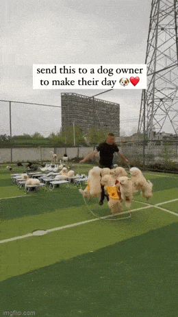 GIFparade XLII Gifparade-042_22 