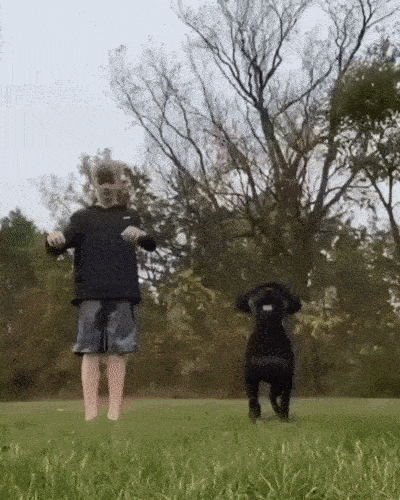 GIFparade XLII Gifparade-042_34 