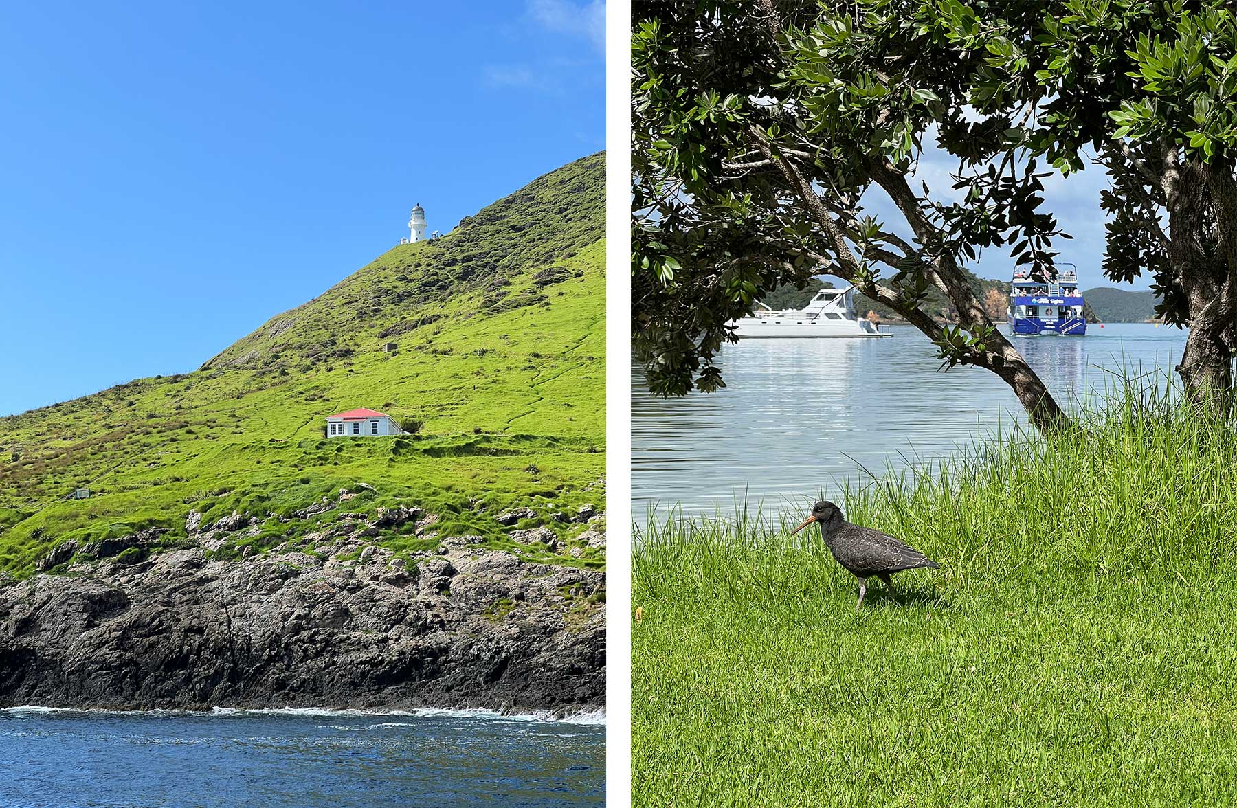 Reisebericht: Neuseeland 2023 - 3 Wochen Nordinsel Neuseeland-Reisebericht-2023_44 