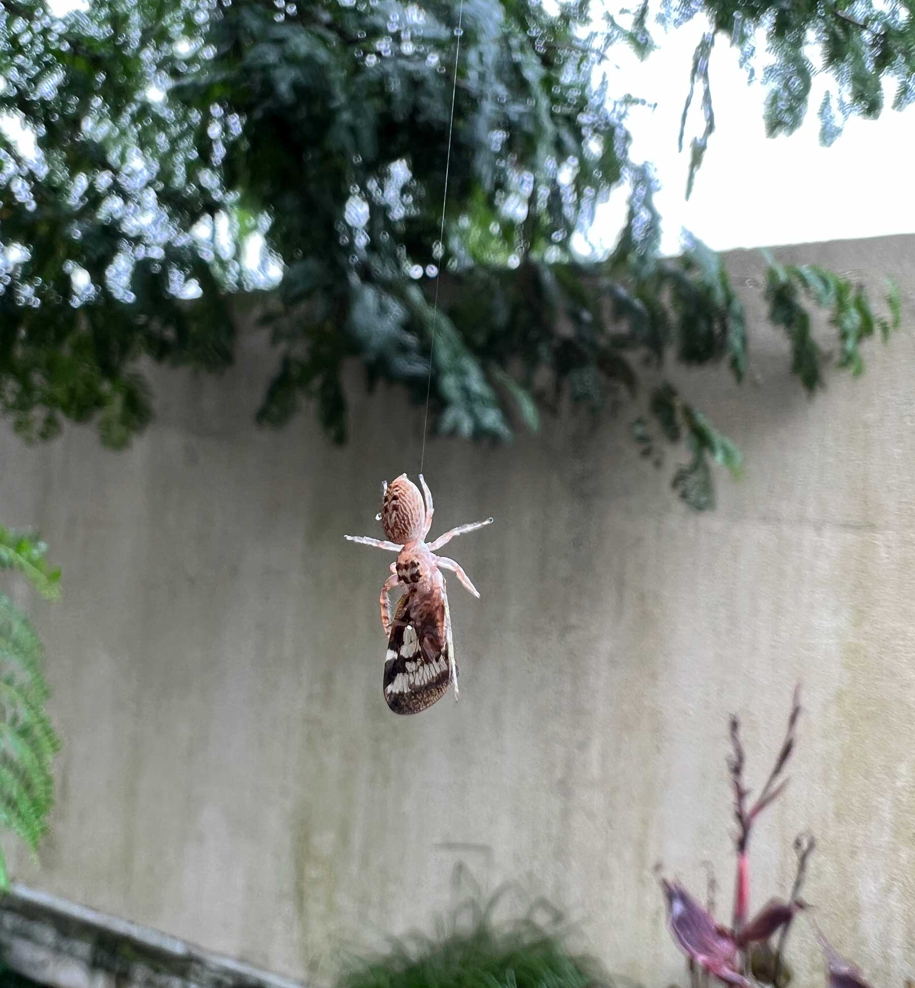 Reisebericht: Neuseeland 2023 - 3 Wochen Nordinsel Neuseeland-Reisebericht-2023_47 