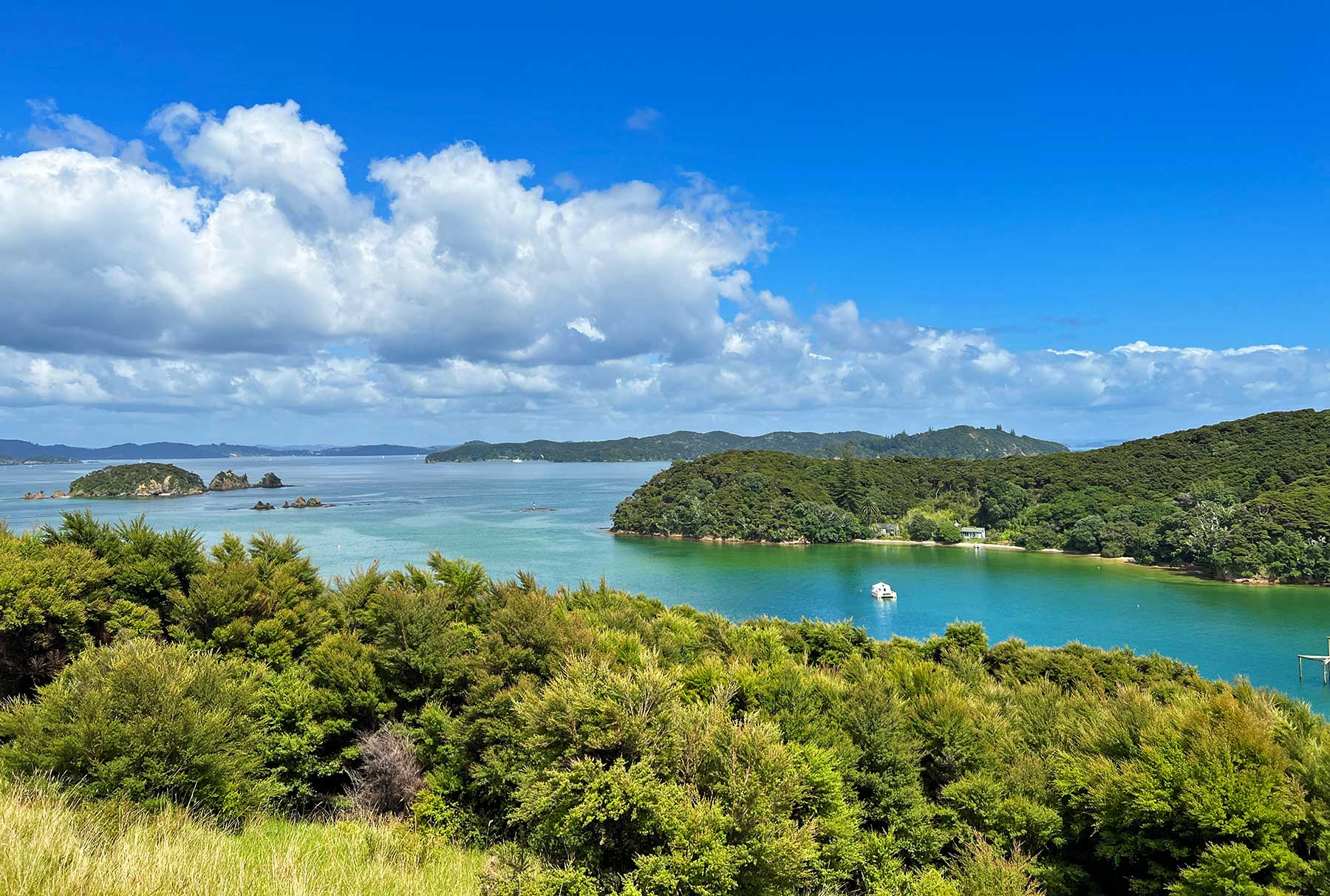 Reisebericht: Neuseeland 2023 - 3 Wochen Nordinsel Neuseeland-Reisebericht-2023_49 