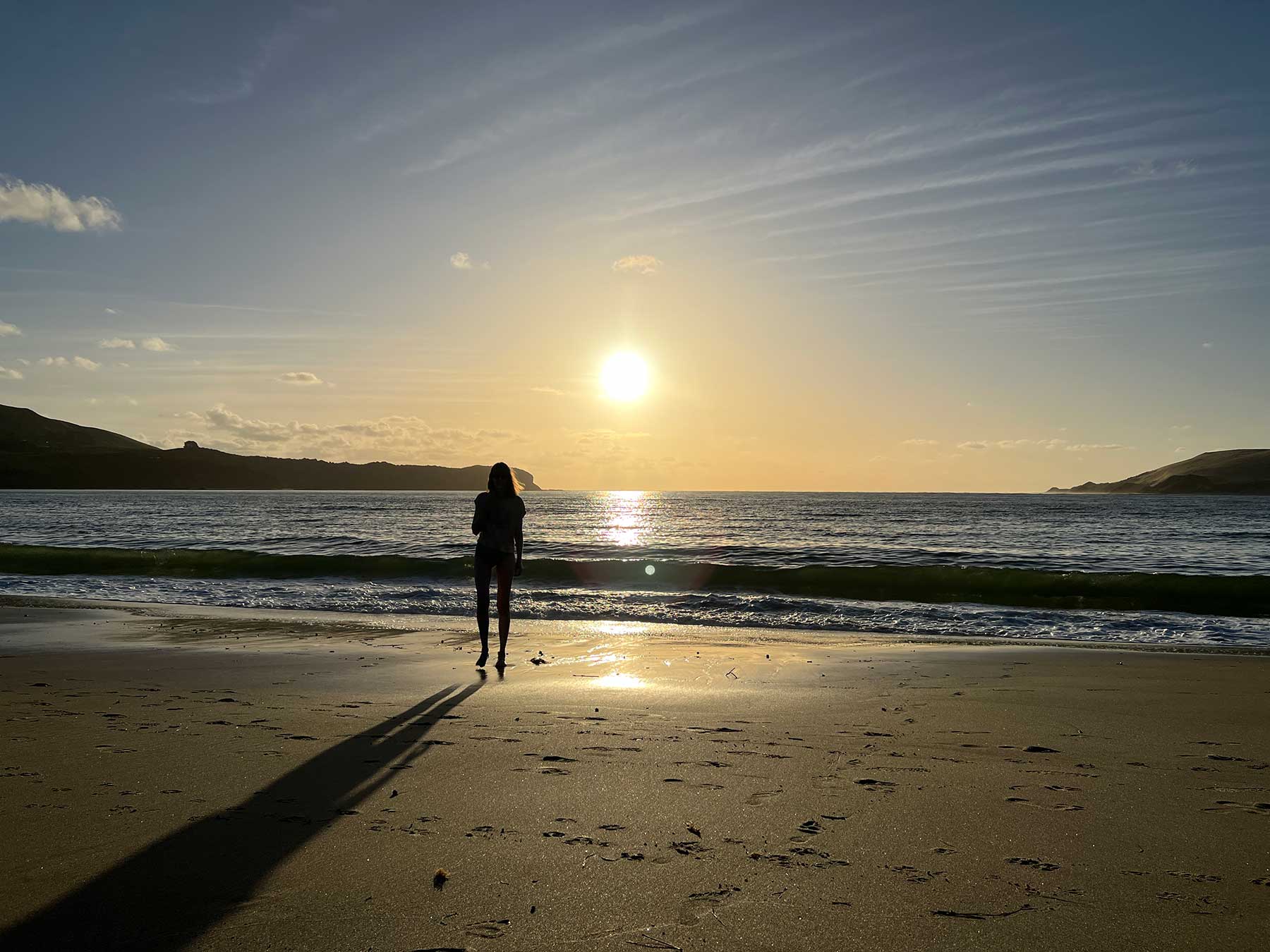 Reisebericht: Neuseeland 2023 - 3 Wochen Nordinsel Neuseeland-Reisebericht-2023_51 