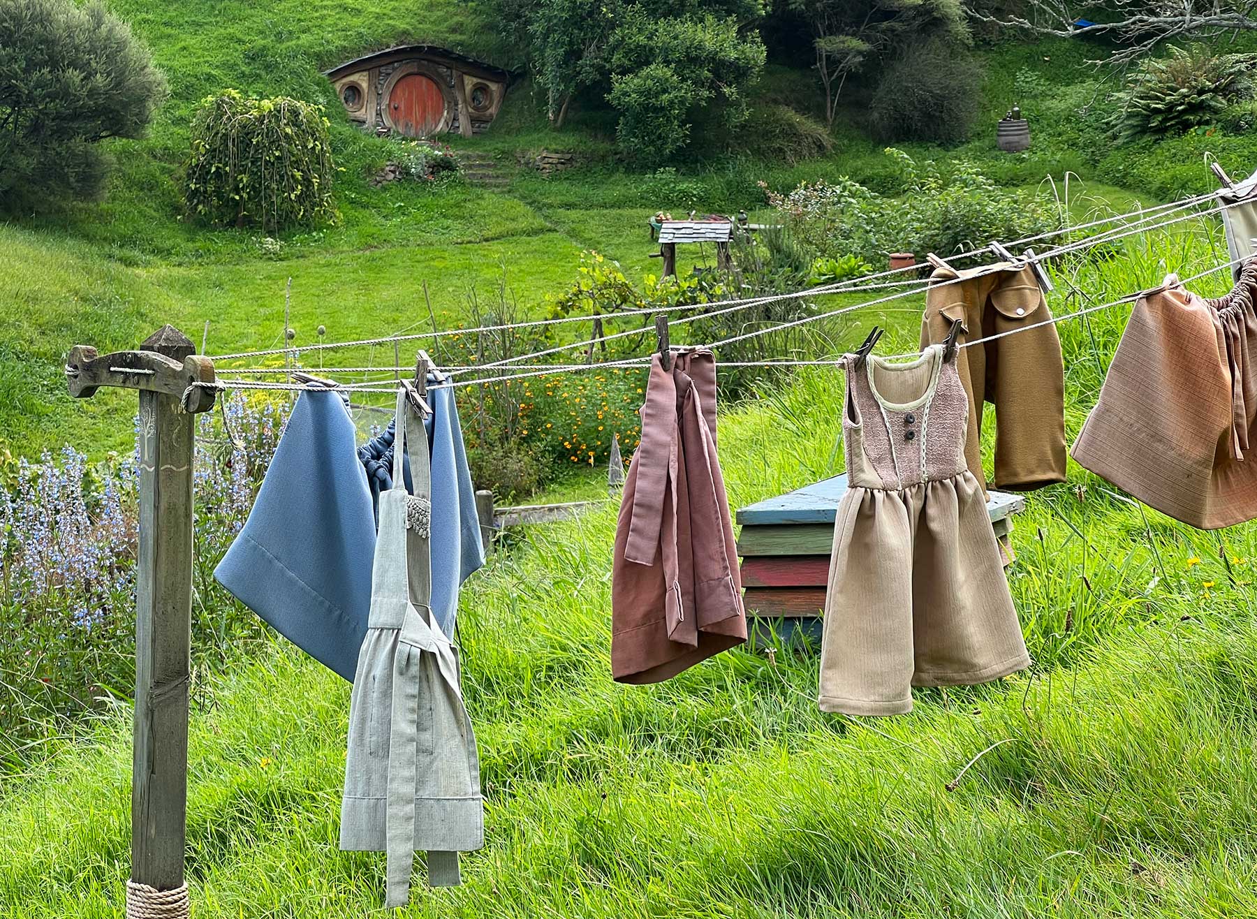 Reisebericht: Neuseeland 2023 - 3 Wochen Nordinsel Neuseeland-Reisebericht-2023_58 