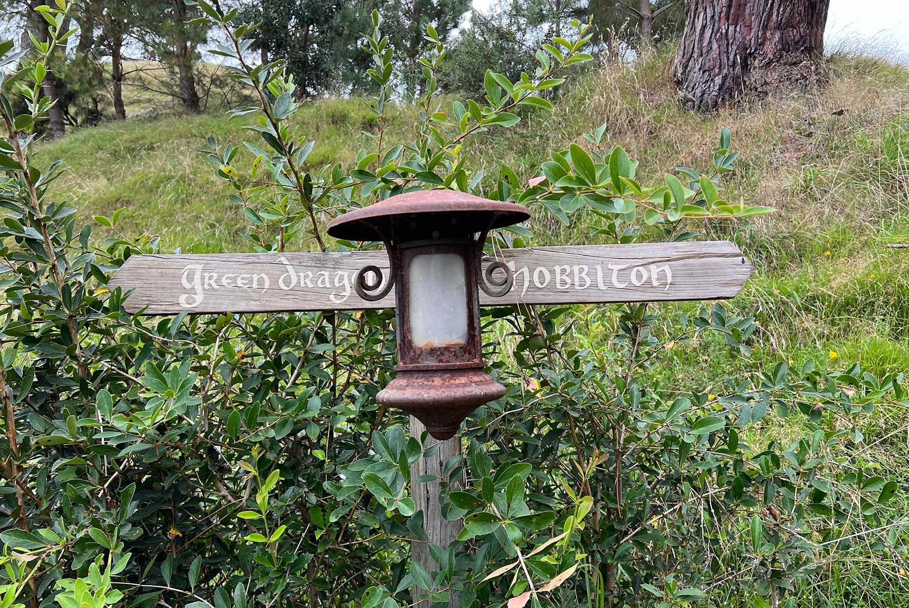 Reisebericht: Neuseeland 2023 - 3 Wochen Nordinsel Neuseeland-Reisebericht-2023_59 