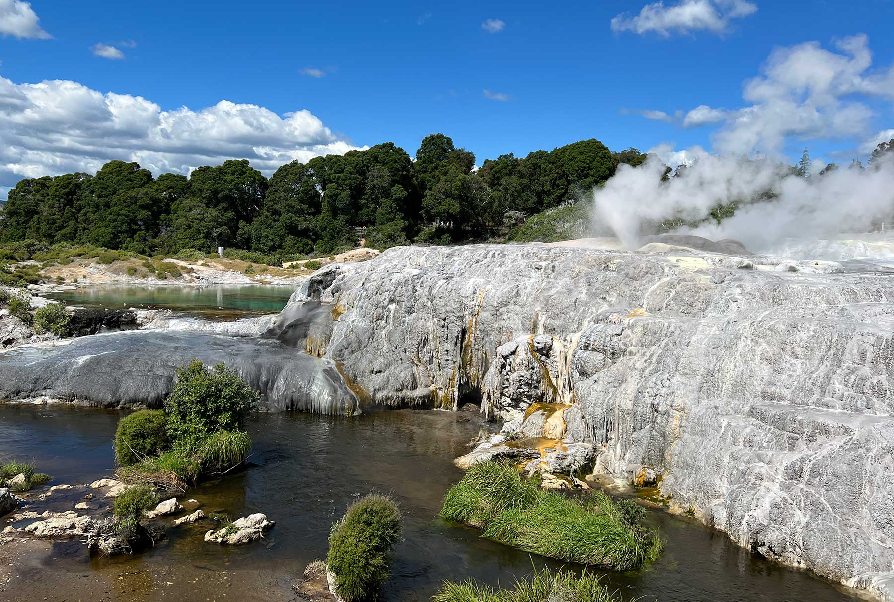 Reisebericht: Neuseeland 2023 - 3 Wochen Nordinsel Neuseeland-Reisebericht-2023_69 