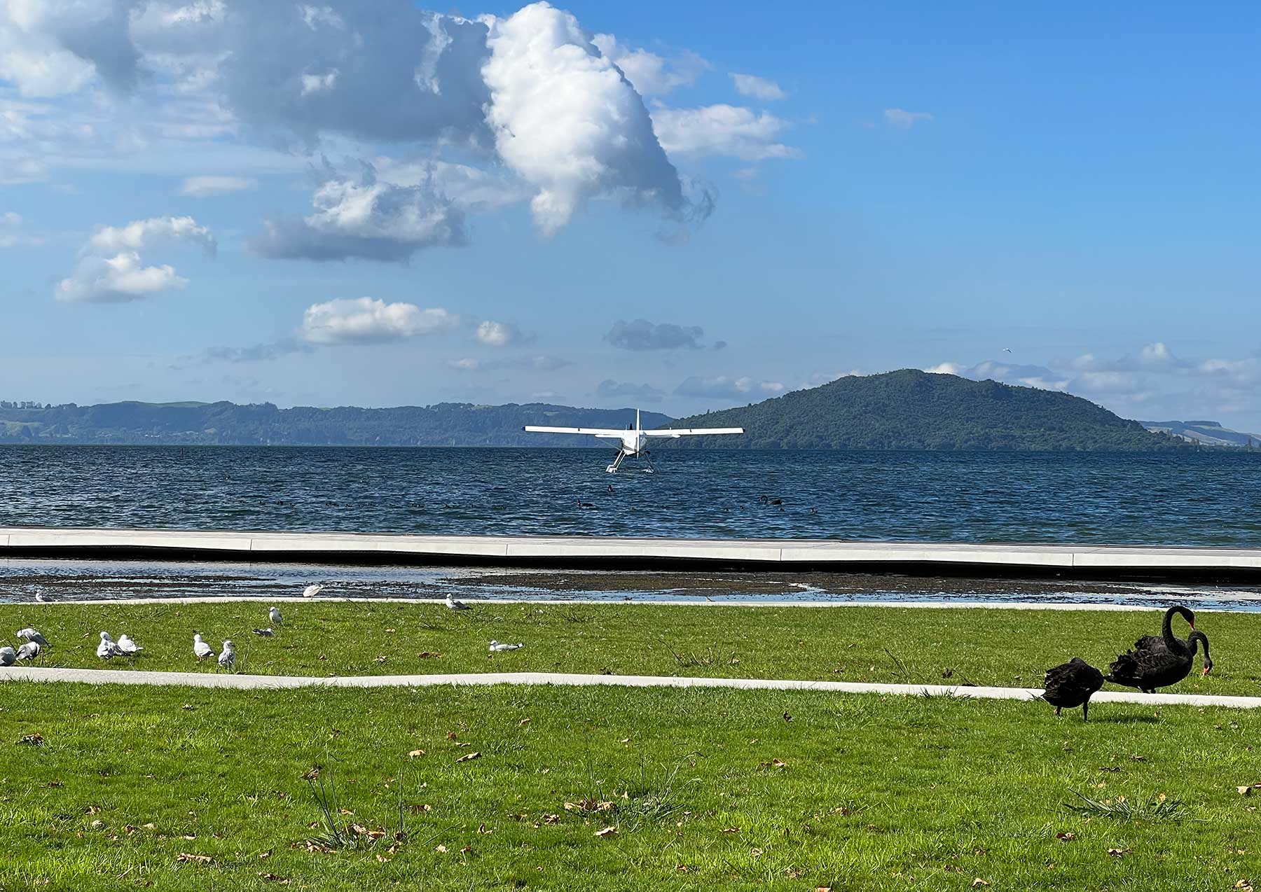 Reisebericht: Neuseeland 2023 - 3 Wochen Nordinsel Neuseeland-Reisebericht-2023_72 