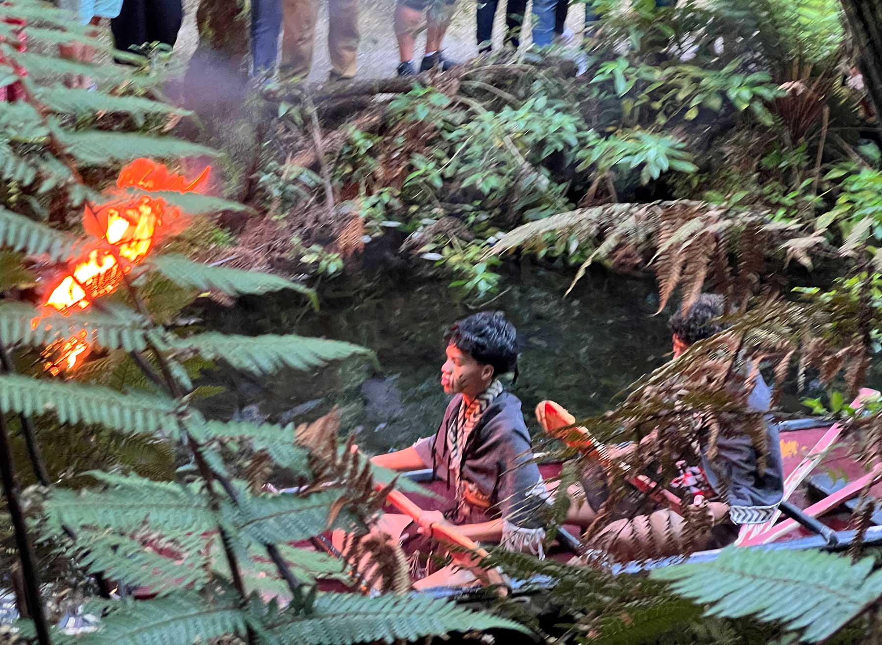 Reisebericht: Neuseeland 2023 - 3 Wochen Nordinsel Neuseeland-Reisebericht-2023_73 