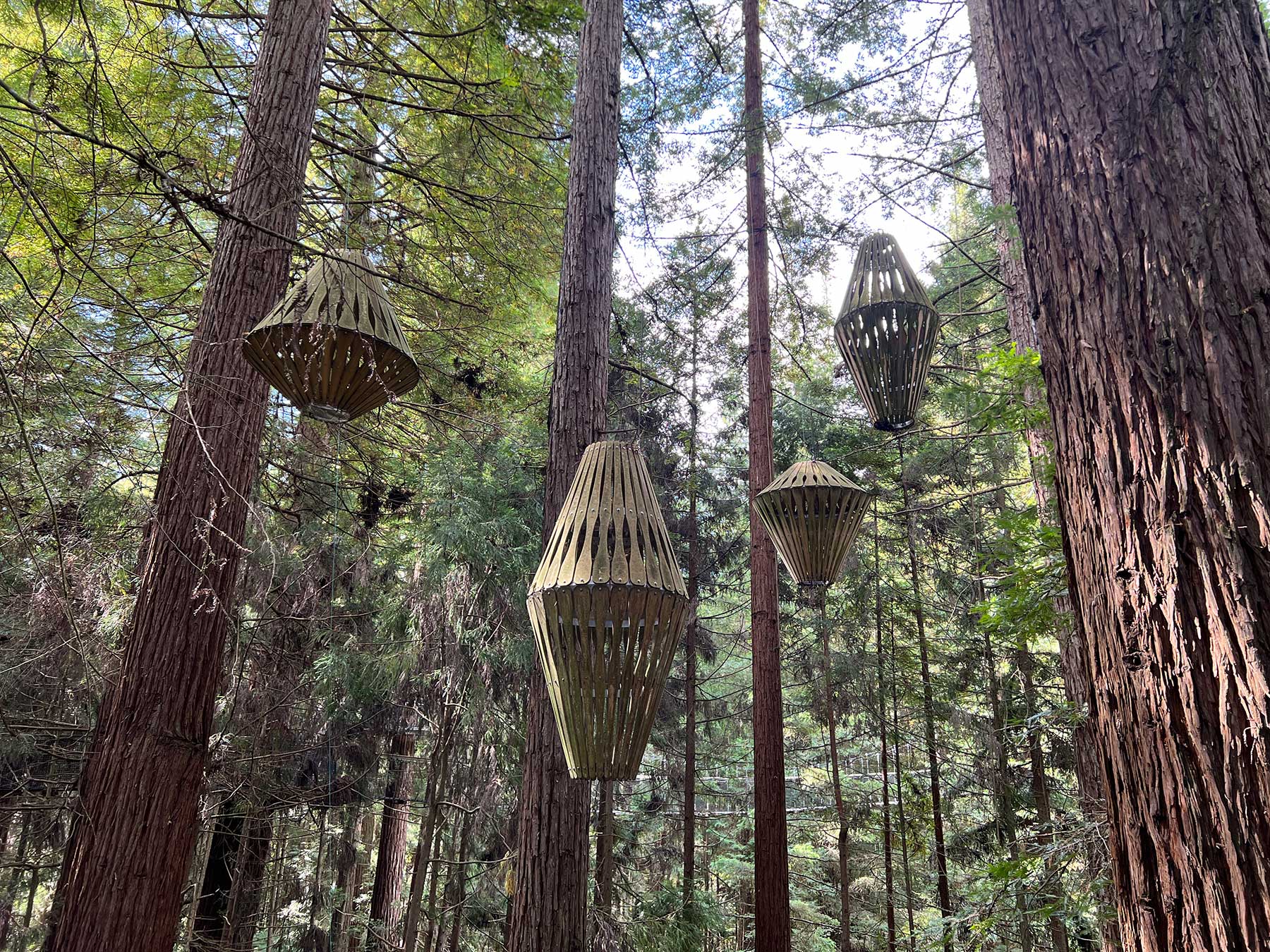 Reisebericht: Neuseeland 2023 - 3 Wochen Nordinsel Neuseeland-Reisebericht-2023_74 