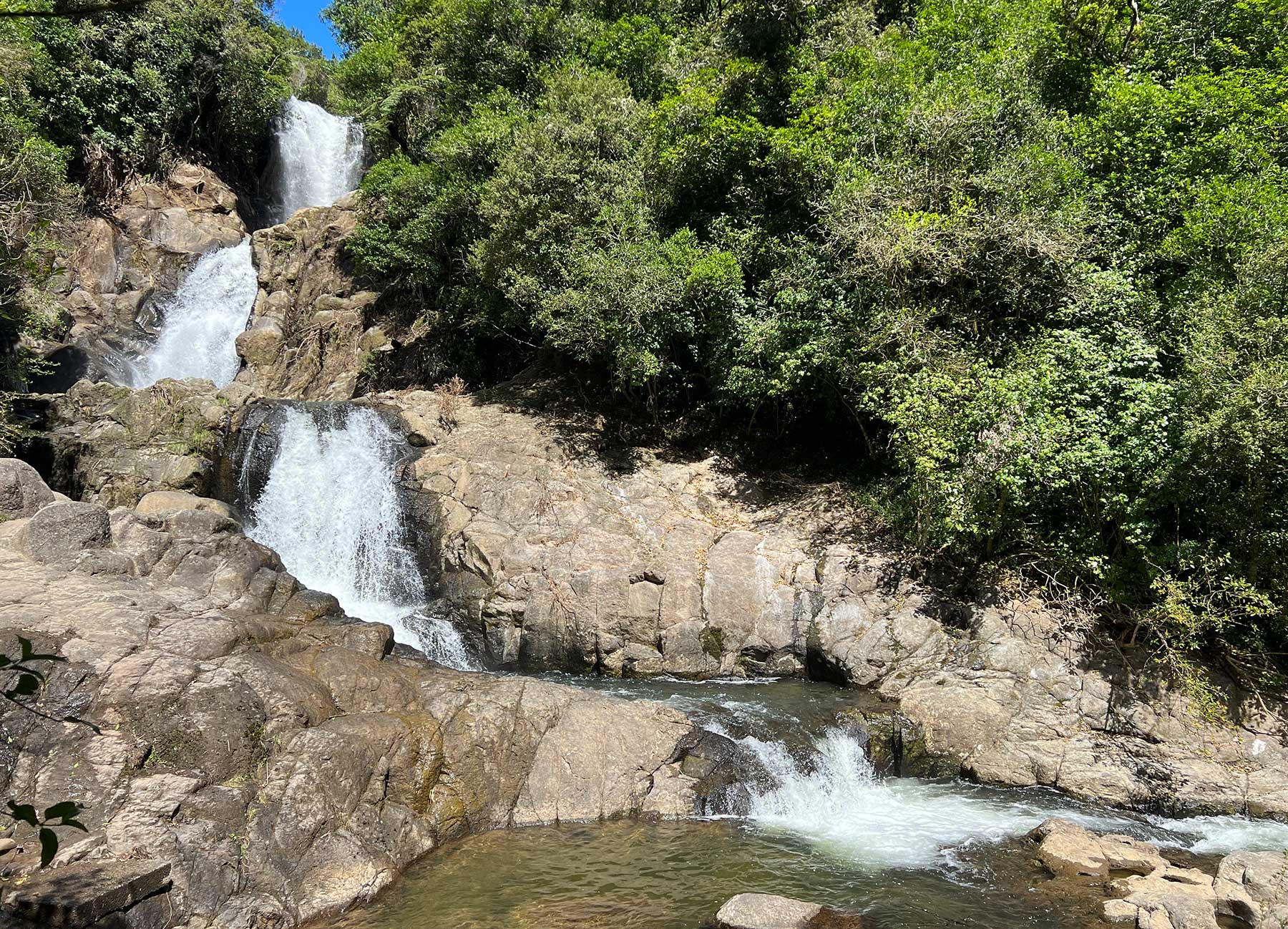 Reisebericht: Neuseeland 2023 - 3 Wochen Nordinsel Neuseeland-Reisebericht-2023_75 