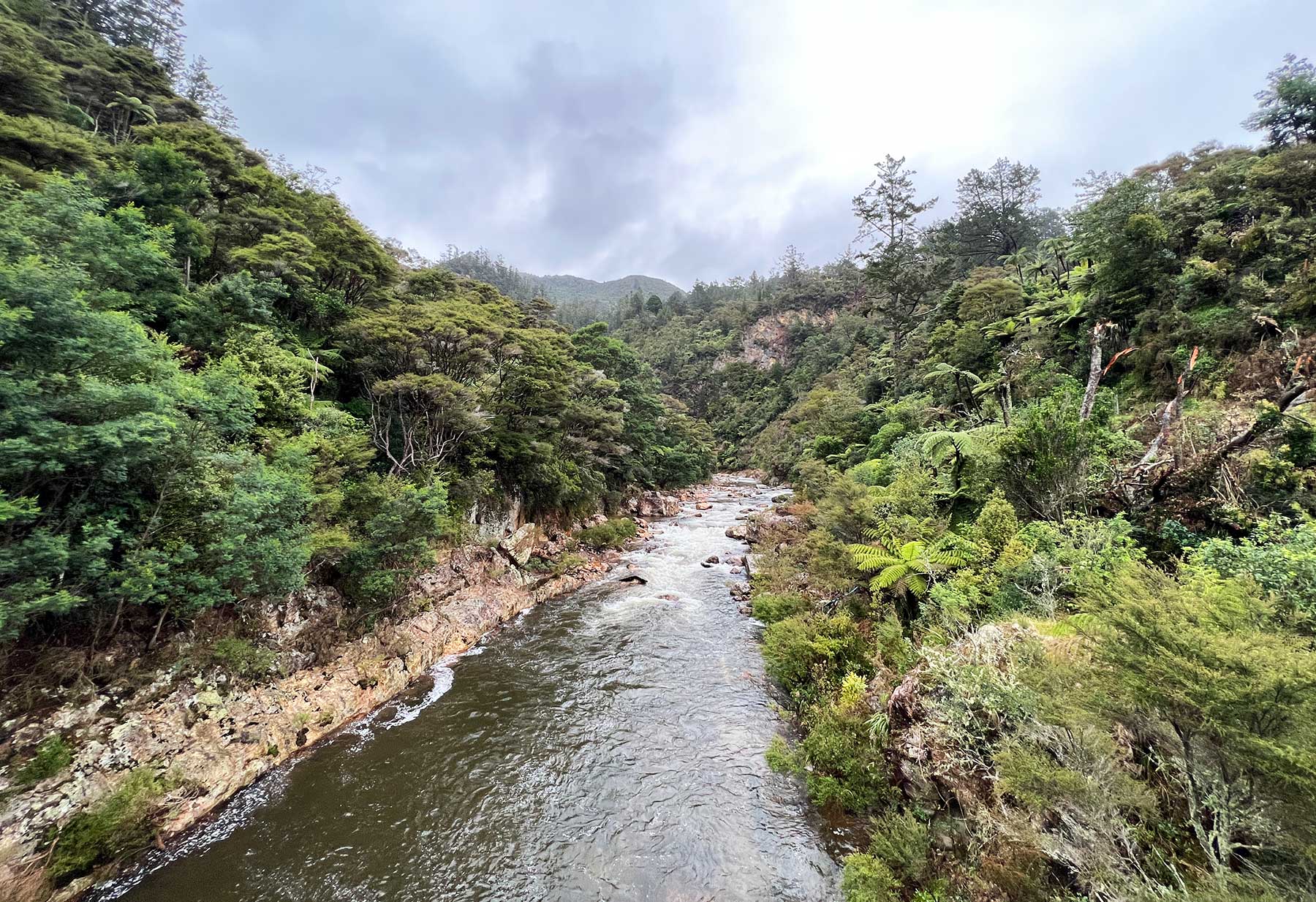 Reisebericht: Neuseeland 2023 - 3 Wochen Nordinsel Neuseeland-Reisebericht-2023_78 