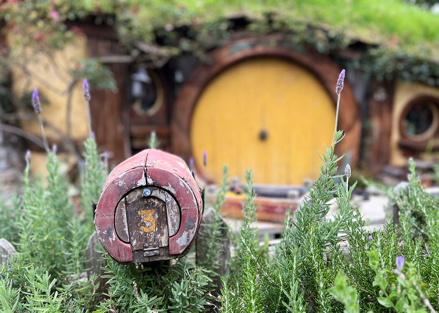 Reisebericht: Neuseeland 2023 - 3 Wochen Nordinsel Neuseeland-Reisebericht-2023_81 