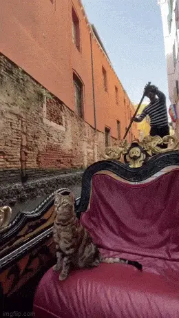 GIFparade XLIV Gifparade-044_11 