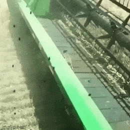 GIFparade XLIV Gifparade-044_25 