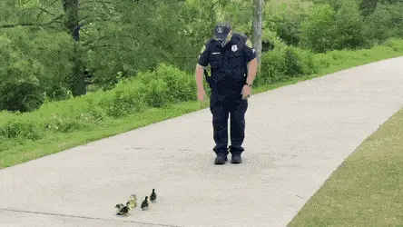 GIFparade XLIV Gifparade-044_36 