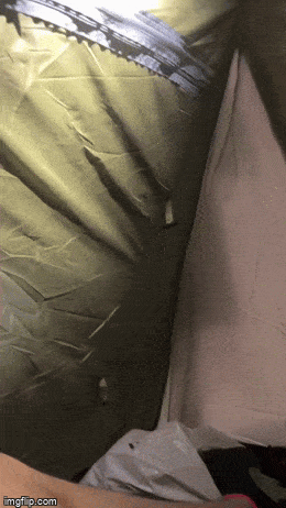 GIFparade XLVII Gifparade-047_15 