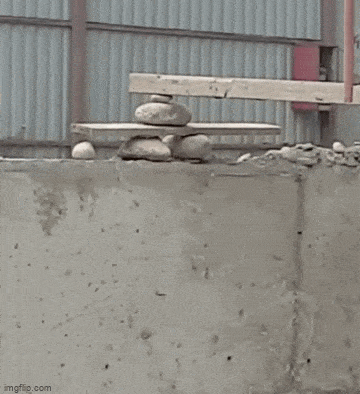 GIFparade XLVII Gifparade-047_17 