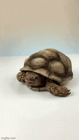 GIFparade XLVII Gifparade-047_23 