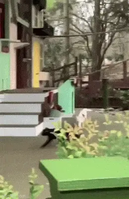 GIFparade XLVII Gifparade-047_32 