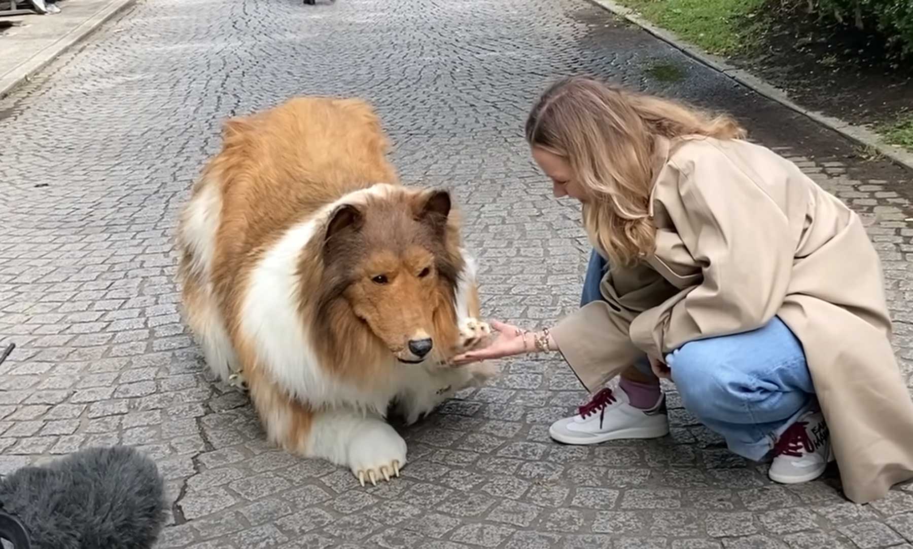 Mann in superrealistischem Hunde-Kostüm