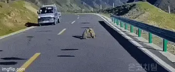 GIFparade L GIFparade-50_12 