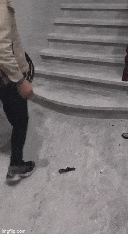 GIFparade L GIFparade-50_14 