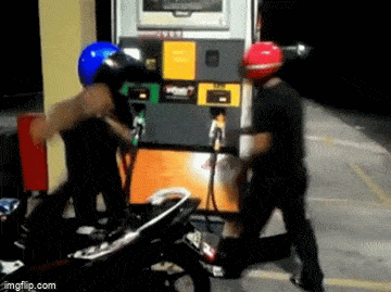 GIFparade L GIFparade-50_15 