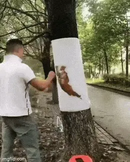 GIFparade L GIFparade-50_17 