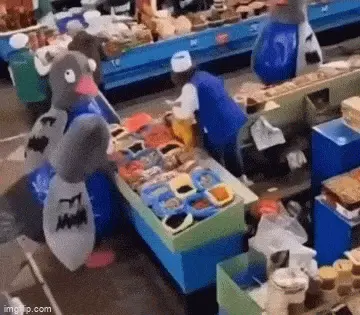 GIFparade L GIFparade-50_33 