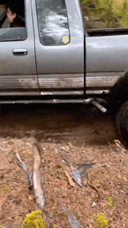 GIFparade L GIFparade-50_40 