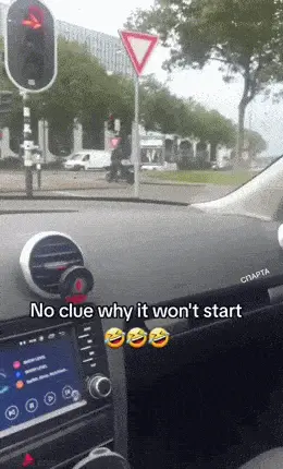 GIFparade L GIFparade-50_41 