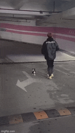 GIFparade L GIFparade-50_42 