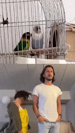 GIFparade LI GIFparade-51_14 