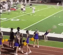 GIFparade LI GIFparade-51_24 