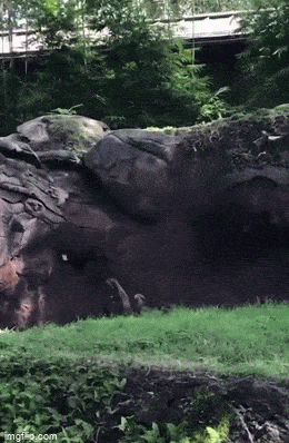 GIFparade LI GIFparade-51_27 