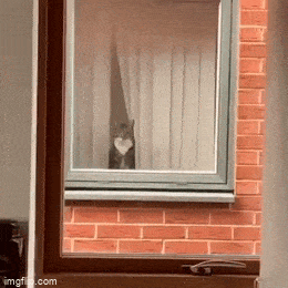 GIFparade XLVIII Gifparade-048_27 