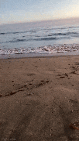 GIFparade XLVIII Gifparade-048_35 