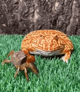 GIFparade XLIX Gifparade-049_19 